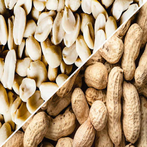 Peanut - Amrut Export